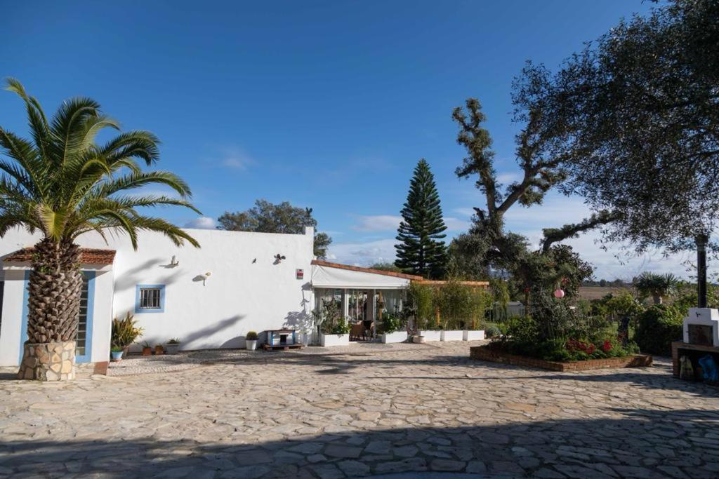 Soul Casas Villa Vejer de la Frontera Phòng bức ảnh